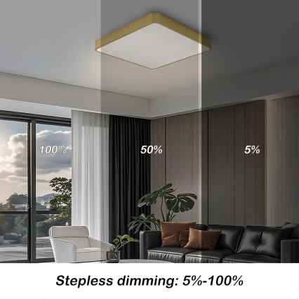 Brilagi - LED-dimbare plafondlamp POOL SQUARE LED/48W/230V 3000-6000K 50x50 cm gouden + afstandsbediening