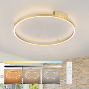 Brilagi - LED-dimbare plafondlamp PORTOFINO LED/60W/230V 3000-6000K Ø 80 cm goudkleurig + afstandsbediening