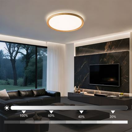 Brilagi - Dimbare LED-plafondlamp RIVO LED/72W/230V 3000-6000K houtlook Ø 50 cm + afstandsbediening