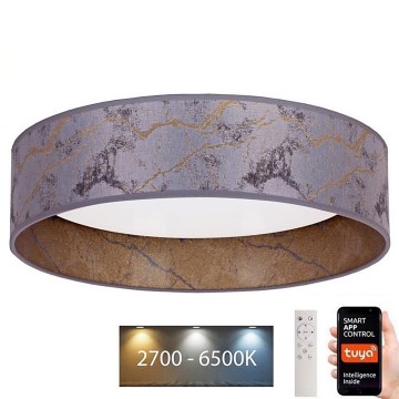 Brilagi - LED dimbare plafondlamp VELVET SMART LED/24W/230V Ø 45 cm 2700-6500K Wi-Fi Tuya grijs/goud + afstandsbediening