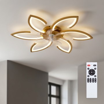 Brilagi - LED-dimbare plafondventilator LED/34W/230V 3000-6500K Ø 78 cm goudkleurig + afstandsbediening
