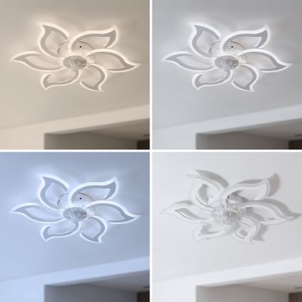 Brilagi - Dimbare LED-plafondventilator LED/34W/230V Ø 83 cm wit + afstandsbediening