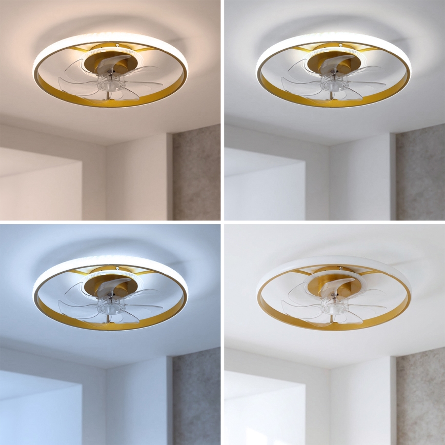 Brilagi - LED Dimbare plafondventilator LED/66W/230V 55 cm wit/goud + afstandsbediening