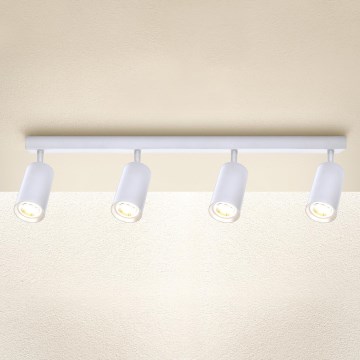 Brilagi - LED dimbare spotarmatuur SELE 4xGU10/6,5W/230V 2700-6500K wit