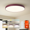 Brilagi - LED-dimbare zwembadarmatuur POOL SMART LED/100W/230V Ø 80 cm 3000-6000K Wi-Fi Tuya + afstandsbediening bordeaux