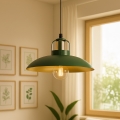 Brilagi - LED Hanglamp aan een koord FLAMENGO 1xE27/60W/230V groen