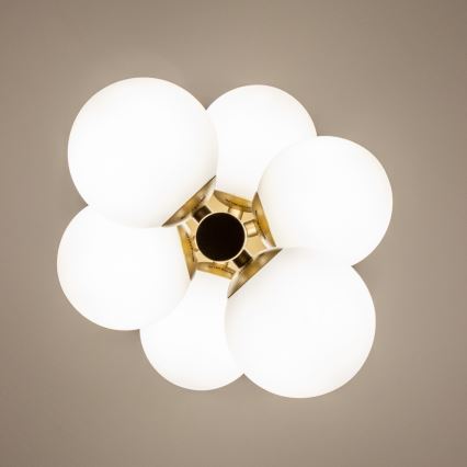 Brilagi - LED Hanglamp aan een koord MILLA 6xG9/3W/230V goud/wit