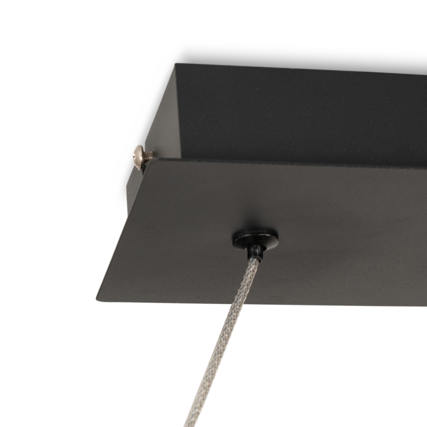 BRILAGI - LED-hanglamp aan kabel ECHO LED/60W/230V 4000K 100 cm zwart