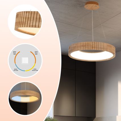 Brilagi - LED-hanglamp aan kabel FALCON WOOD MODERN LED/30W/230V 3000/4000/6000K Ø 45 cm hout