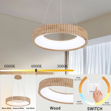 Brilagi - LED-hanglamp aan kabel FALCON WOOD MODERN LED/30W/230V 3000/4000/6000K Ø 45 cm hout