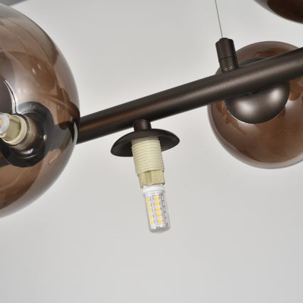 Brilagi - LED-hanglamp aan kabel MILLA 10xG9/3W/230V bruin/rookbruin