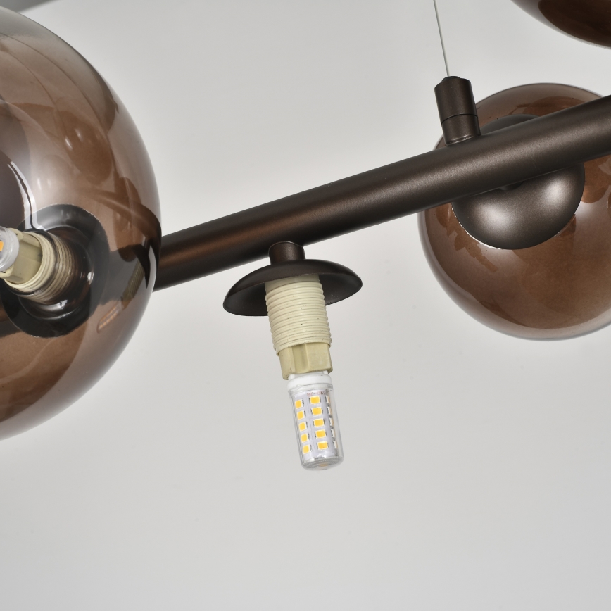 Brilagi - LED-hanglamp aan kabel MILLA 10xG9/3W/230V bruin/rookbruin