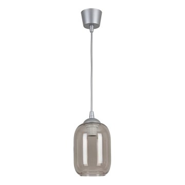 Brilagi - LED-hanglamp aan kabel RETRO GLASS 1xE27/60W/230V Ø 14 cm zilver/rookgrijs