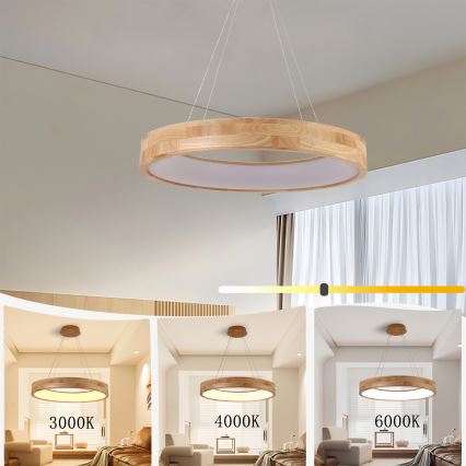 Brilagi - FALCON WOOD LED hanglamp aan kabel, 40W/230V, 3000/4000/6000K, Ø 60 cm, hout