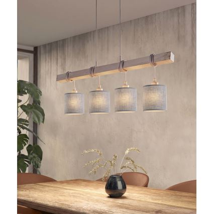 Brilagi - LED hanglamp met kabel NUBILA 4xE27/60W/230V grijs