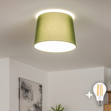 Brilagi - LED Opbouwkroonluchter CERIA 1xE27/40W/230V Ø 30 cm groen