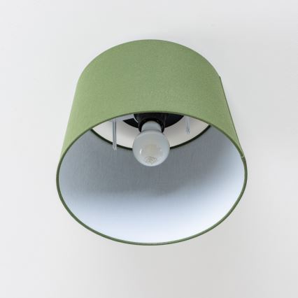 Brilagi - LED Opbouwkroonluchter CERIA 1xE27/40W/230V Ø 30 cm groen