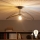 Brilagi - LED opbouwkroonluchter CERIA WIRE 1xE27/60W/230V 40x56 cm zwart/brons
