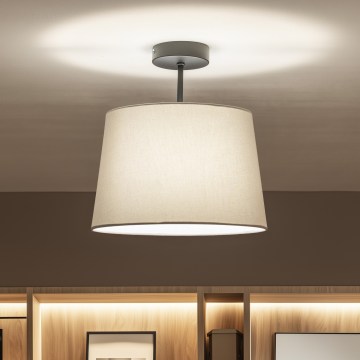 Brilagi - LED opbouwplafondlamp CERIA 1xE27/60W/230V Ø 30 cm zwart/grijs