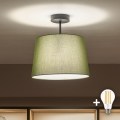 Brilagi - LED opbouwplafondlamp CERIA 1xE27/60W/230V Ø 30 cm zwart/groen