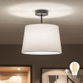 Brilagi - LED Opbouwplafondlamp CERIA 1xE27/60W/230V Ø 30 cm zwart/wit