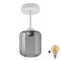 BRILAGI - LED Opbouwplafondlamp RETRO GLASS 1xE27/60W/230V Ø 14 cm wit/rookgrijs