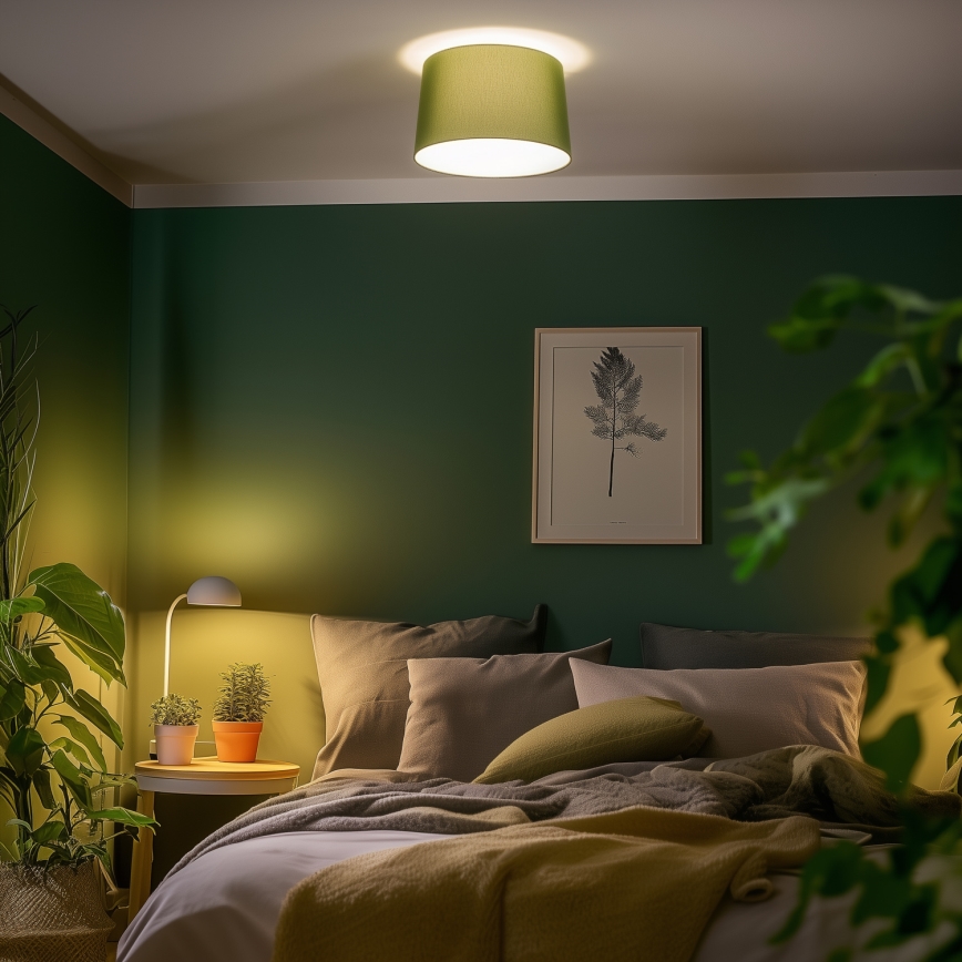 Brilagi - LED opbouwplafonnière CERIA 1xE27/40W/230V Ø 45 cm groen