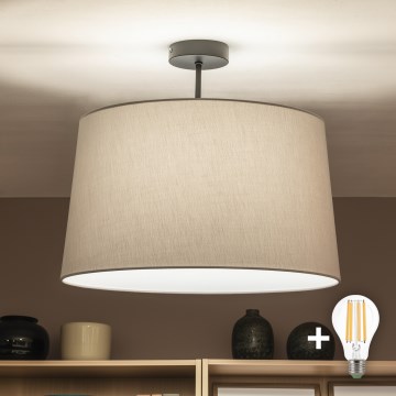 Brilagi - LED-opbouwplafonnière CERIA 1xE27/60W/230V Ø 45 cm zwart/grijs