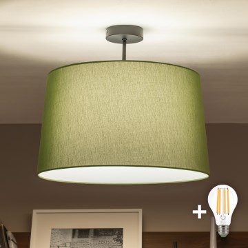 Brilagi - LED opbouwplafonnière CERIA 1xE27/60W/230V Ø 45 cm zwart/groen