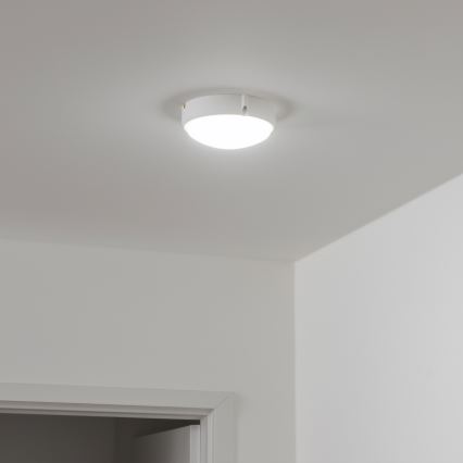 Brilagi - LED Plafondarmatuur industrieverlichting SIMA LED/12W/230V IP65 wit