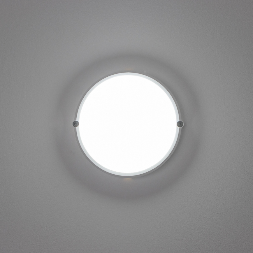Brilagi - LED Plafondarmatuur industrieverlichting SIMA LED/12W/230V IP65 wit