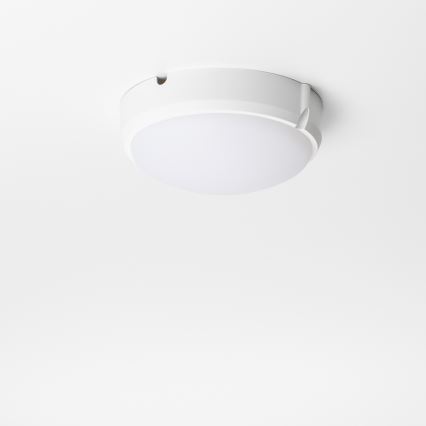 Brilagi - LED Plafondarmatuur industrieverlichting SIMA LED/12W/230V IP65 wit