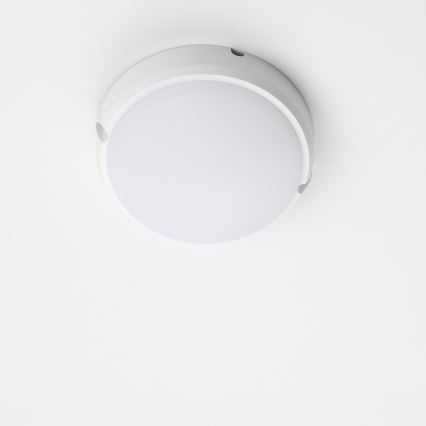 Brilagi - LED Plafondarmatuur industrieverlichting SIMA LED/12W/230V IP65 wit