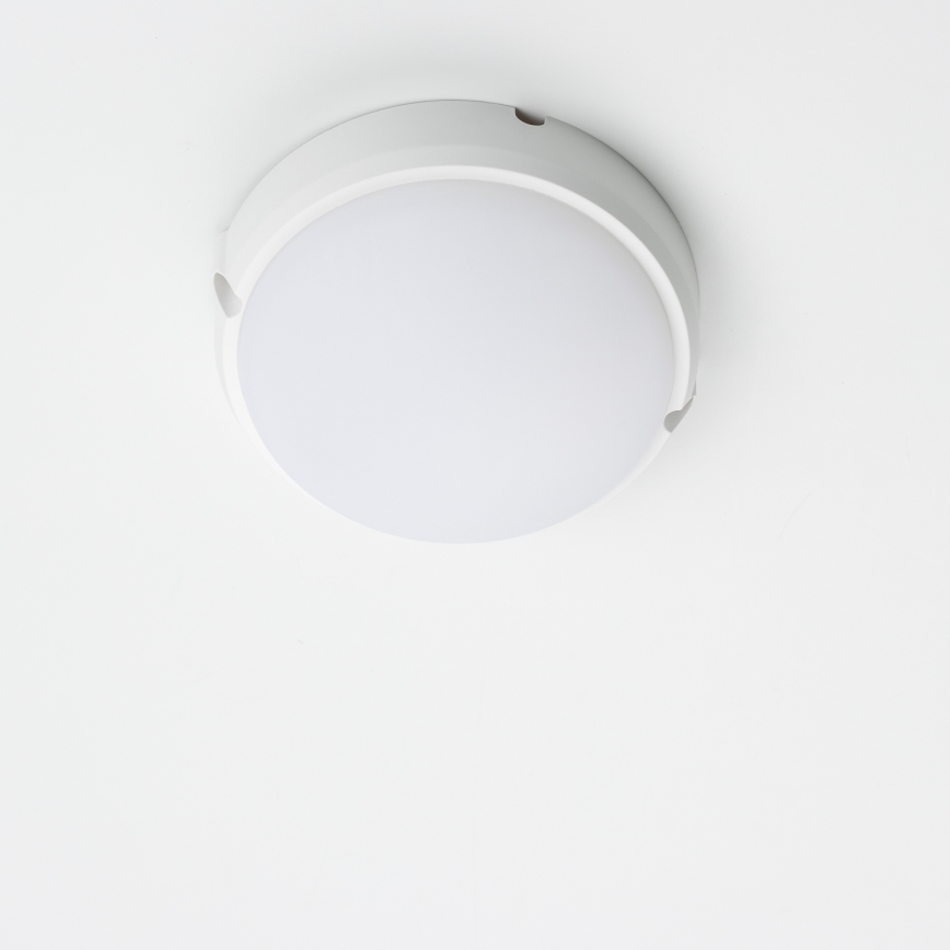 Brilagi - LED Plafondarmatuur industrieverlichting SIMA LED/12W/230V IP65 wit