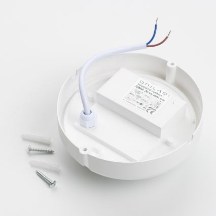 Brilagi - LED Plafondarmatuur industrieverlichting SIMA LED/12W/230V IP65 wit