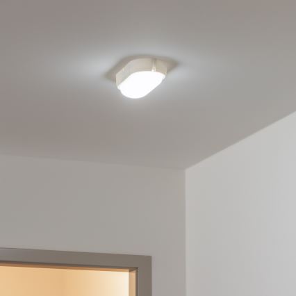 Brilagi - LED Plafondarmatuur industrieverlichting SIMA LED/12W/230V IP65 wit