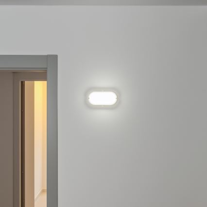 Brilagi - LED Plafondarmatuur industrieverlichting SIMA LED/12W/230V IP65 wit