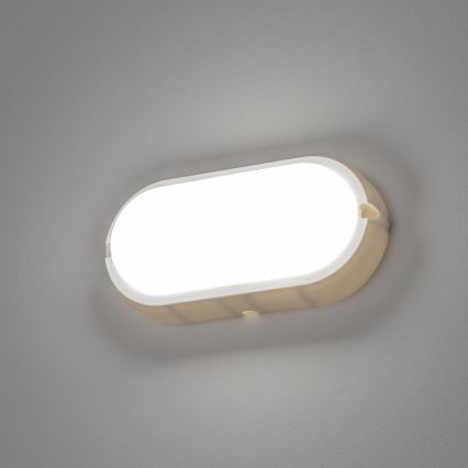 Brilagi - LED Plafondarmatuur industrieverlichting SIMA LED/12W/230V IP65 wit