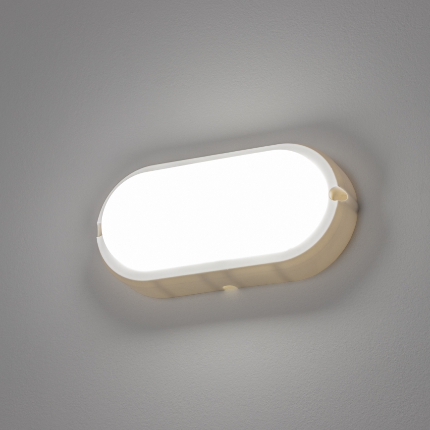 Brilagi - LED Plafondarmatuur industrieverlichting SIMA LED/12W/230V IP65 wit