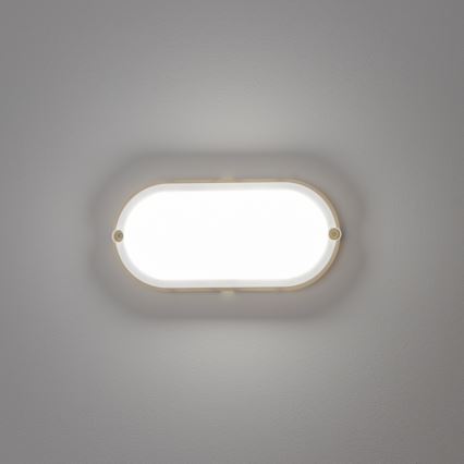 Brilagi - LED Plafondarmatuur industrieverlichting SIMA LED/12W/230V IP65 wit
