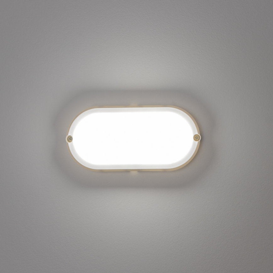 Brilagi - LED Plafondarmatuur industrieverlichting SIMA LED/12W/230V IP65 wit