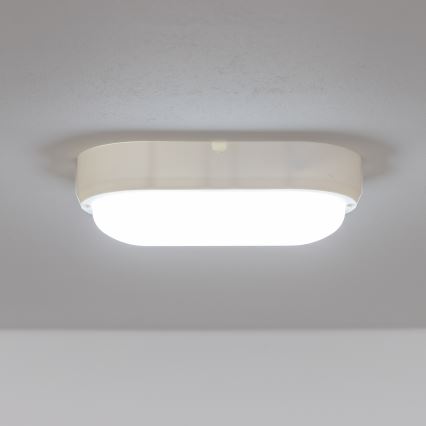 Brilagi - LED Plafondarmatuur industrieverlichting SIMA LED/12W/230V IP65 wit