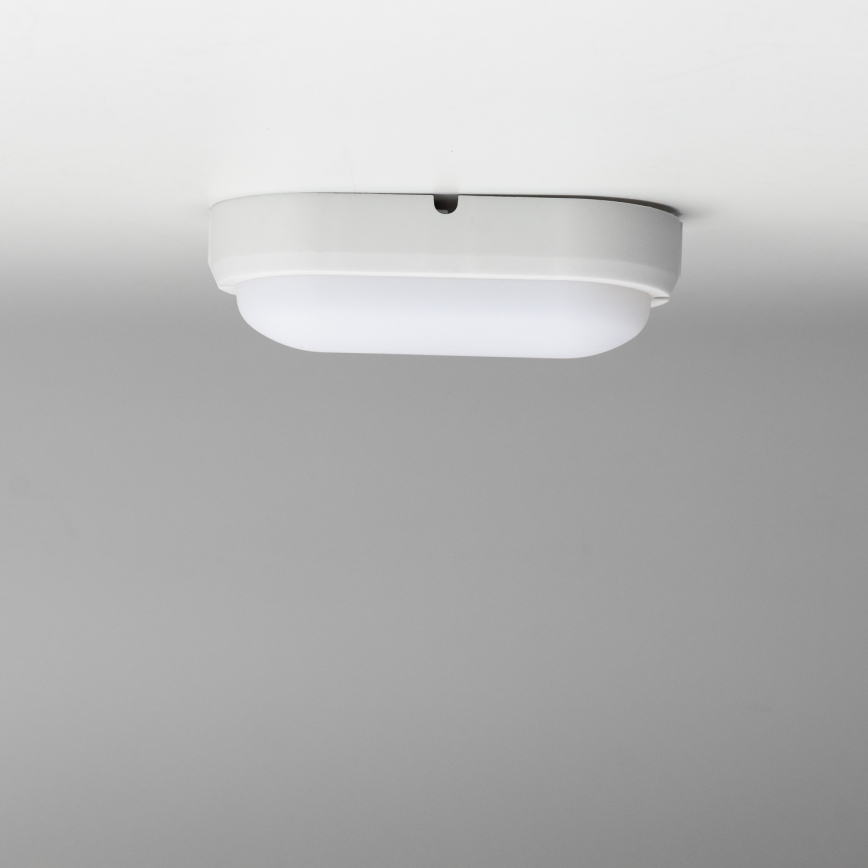 Brilagi - LED Plafondarmatuur industrieverlichting SIMA LED/12W/230V IP65 wit