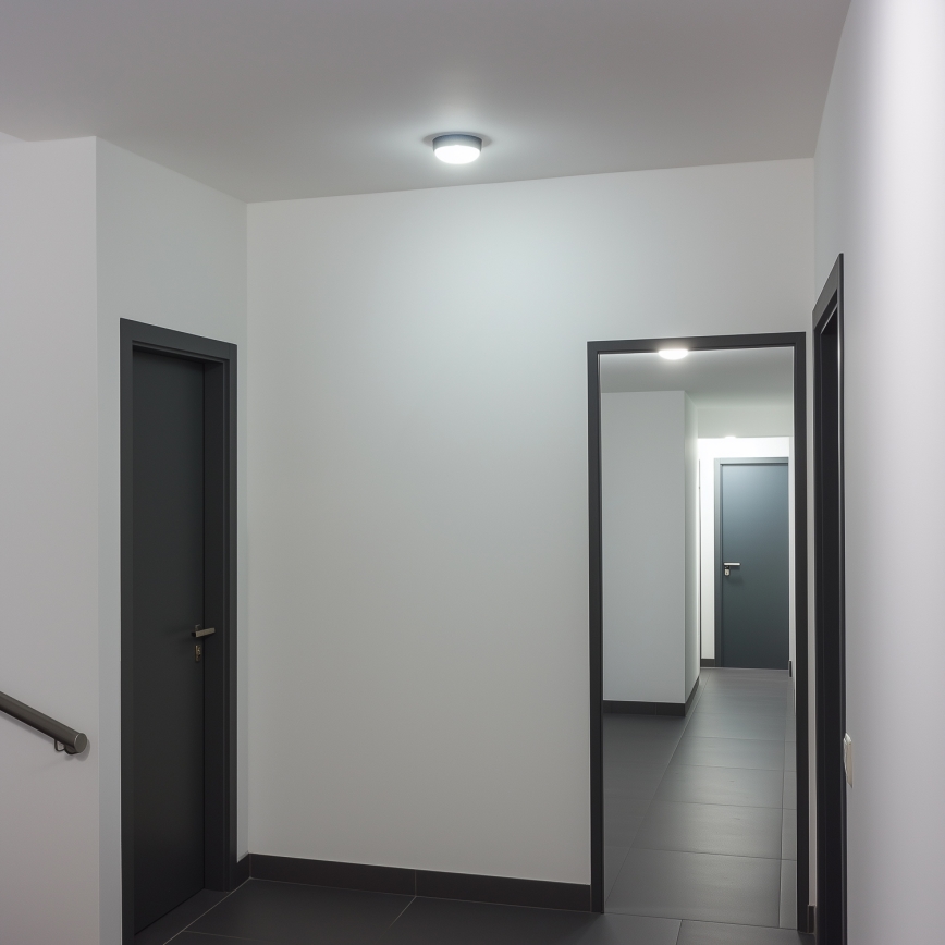 Brilagi - LED Plafondarmatuur industrieverlichting SIMA LED/12W/230V IP65 zwart