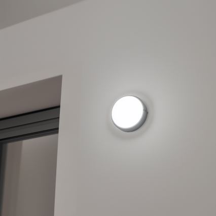 Brilagi - LED Plafondarmatuur industrieverlichting SIMA LED/12W/230V IP65 zwart