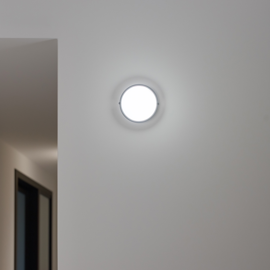 Brilagi - LED Plafondarmatuur industrieverlichting SIMA LED/12W/230V IP65 zwart