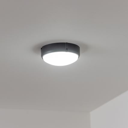Brilagi - LED Plafondarmatuur industrieverlichting SIMA LED/12W/230V IP65 zwart