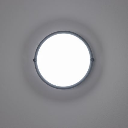 Brilagi - LED Plafondarmatuur industrieverlichting SIMA LED/12W/230V IP65 zwart