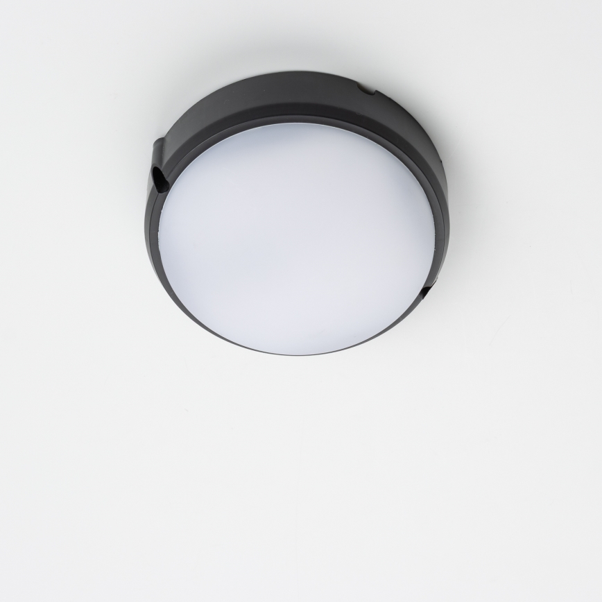 Brilagi - LED Plafondarmatuur industrieverlichting SIMA LED/12W/230V IP65 zwart