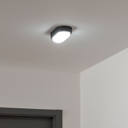Brilagi - LED Plafondarmatuur industrieverlichting SIMA LED/12W/230V IP65 zwart